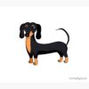 flat750x075f pad750x1000f8f8f8.u2 22 - Dachshund Merch