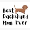 flat750x075f pad750x1000f8f8f8.u2 24 - Dachshund Merch