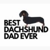 flat750x075f pad750x1000f8f8f8.u2 3 - Dachshund Merch