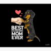 flat750x075f pad750x1000f8f8f8.u2 30 - Dachshund Merch