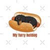 flat750x075f pad750x750f8f8f8 11 - Dachshund Merch