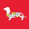 flat750x075f pad750x750f8f8f8 16 - Dachshund Merch