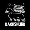 flat750x075f pad750x750f8f8f8 21 - Dachshund Merch