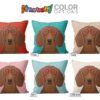 il 1000xN.1285970631 2hqo - Dachshund Merch