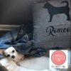 il 1000xN.2269371072 pifi - Dachshund Merch