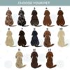 il 1000xN.3359116400 n46r - Dachshund Merch