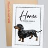 il 1000xN.4156090334 3e2n - Dachshund Merch