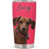 il 1000xN.4500930993 ri5u - Dachshund Merch