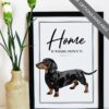 il 1000xN.4519415670 50qp - Dachshund Merch