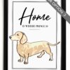 il 1000xN.4519415734 5dih - Dachshund Merch
