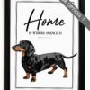 il 1000xN.4566800851 6pvf - Dachshund Merch