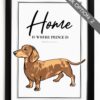 il 1000xN.4566800865 cm9m - Dachshund Merch
