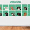il 1000xN.4936225359 q2wv - Dachshund Merch