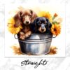 il 1000xN.5248324406 3c8s - Dachshund Merch