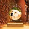 il 1000xN.5709765132 mdhe - Dachshund Merch