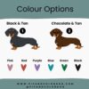 il 1000xN.5750349526 k82h - Dachshund Merch