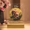 il 1000xN.5757822753 j5f0 - Dachshund Merch