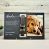 il 1000xN.5780978106 sph2 - Dachshund Merch