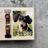 il 1000xN.5796897930 1vil - Dachshund Merch