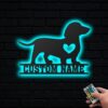 il 1000xN.5827361077 k4ei - Dachshund Merch