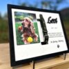 il 1000xN.6127721503 322u - Dachshund Merch