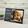 il 1000xN.6135752003 8pjc - Dachshund Merch