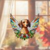il 1000xN.6135760574 cn3a - Dachshund Merch