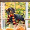 il 1000xN.6234765473 s5d0 - Dachshund Merch