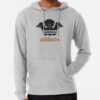 ssrcolightweight hoodiemensheather greyfrontsquare productx1000 bgf8f8f8 - Dachshund Merch