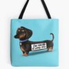 tb1040x1040large c1198800800 bgf8f8f8.u8 2 - Dachshund Merch